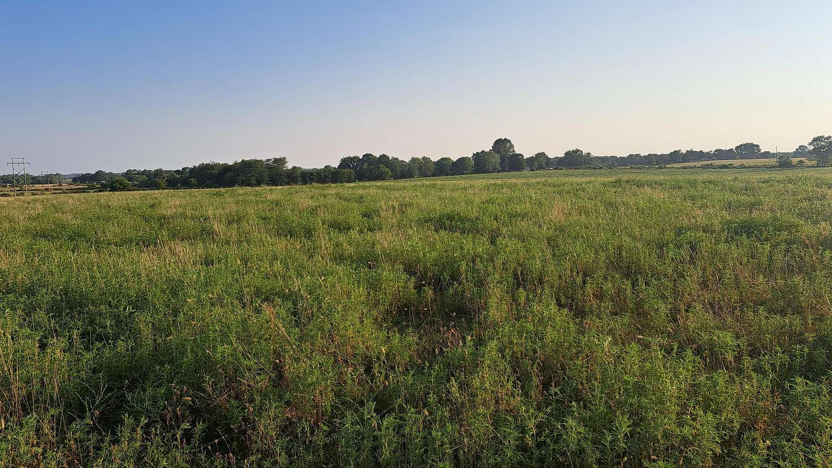 30 Acres of Land for Sale in Rogersville, Missouri