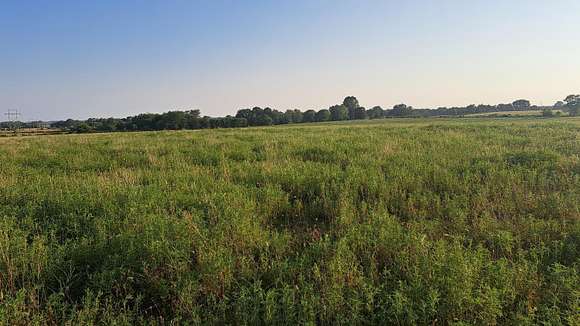 30 Acres of Land for Sale in Rogersville, Missouri
