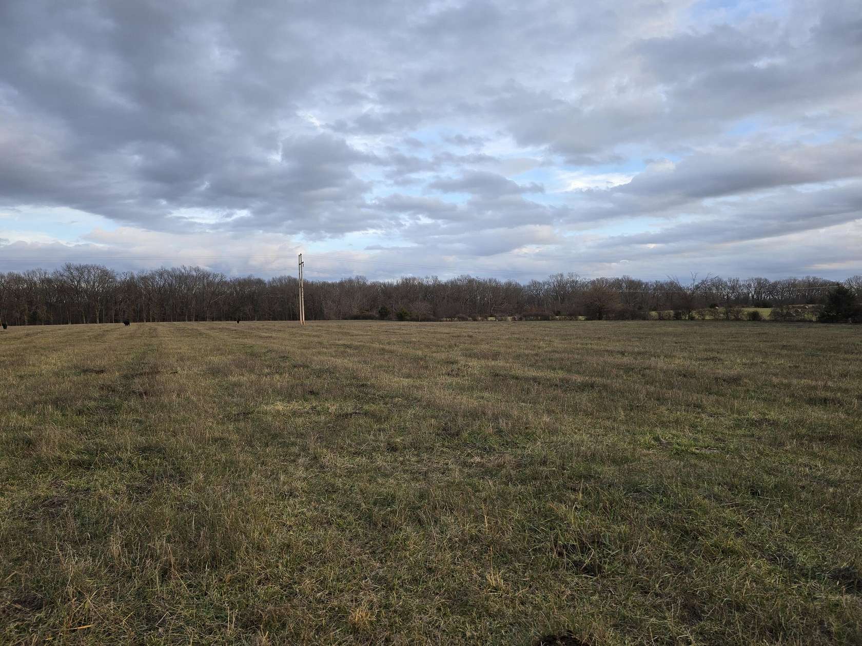 15 Acres of Land for Sale in Rogersville, Missouri