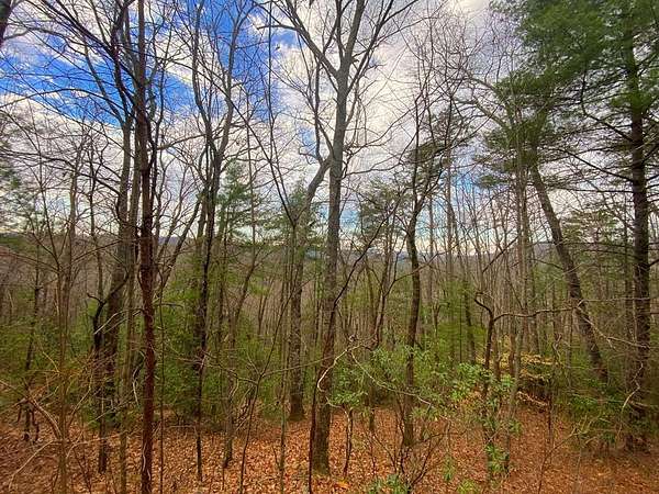 Residential Land for Sale in Hayesville, North Carolina