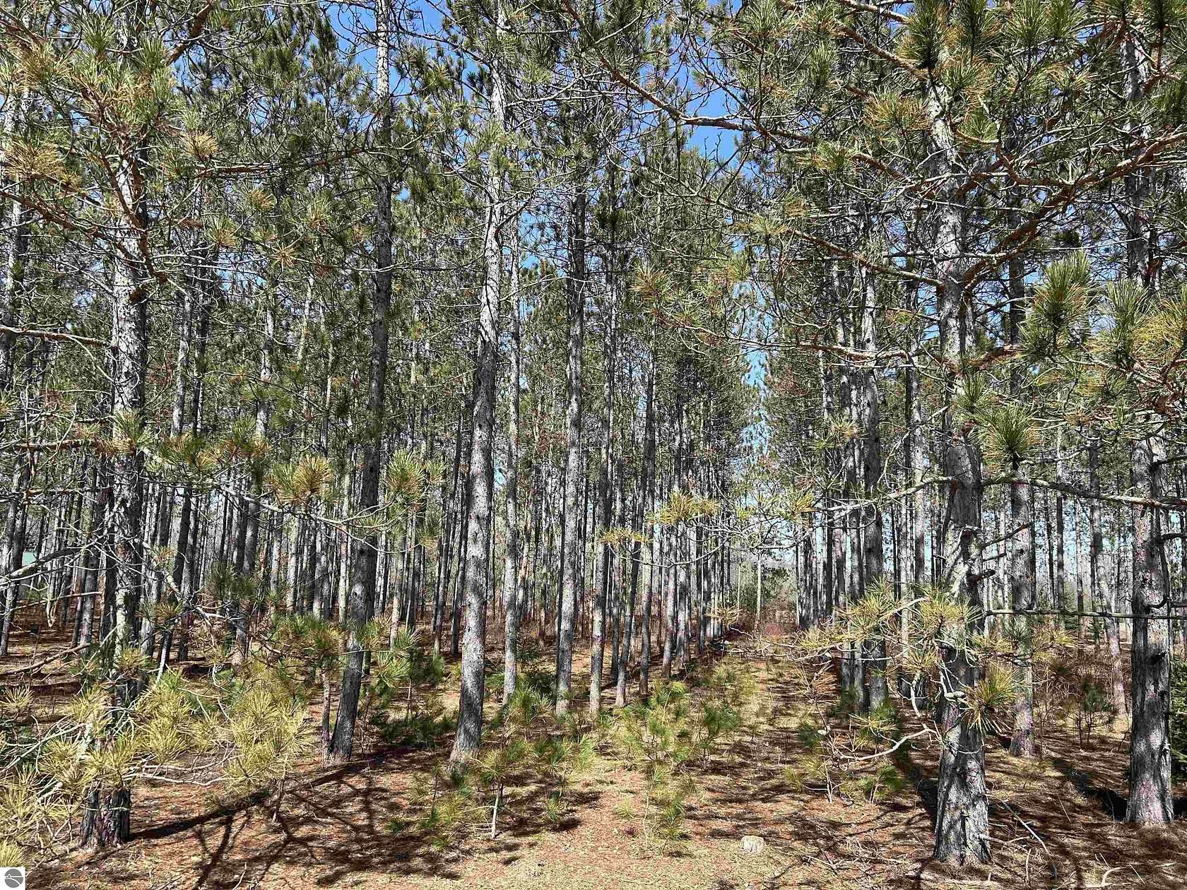 1 Acre of Residential Land for Sale in Thompsonville, Michigan