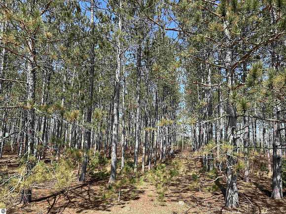 1 Acre of Residential Land for Sale in Thompsonville, Michigan