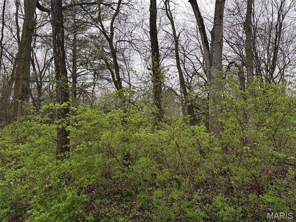 1 Acre of Residential Land for Sale in Ramsey, Illinois