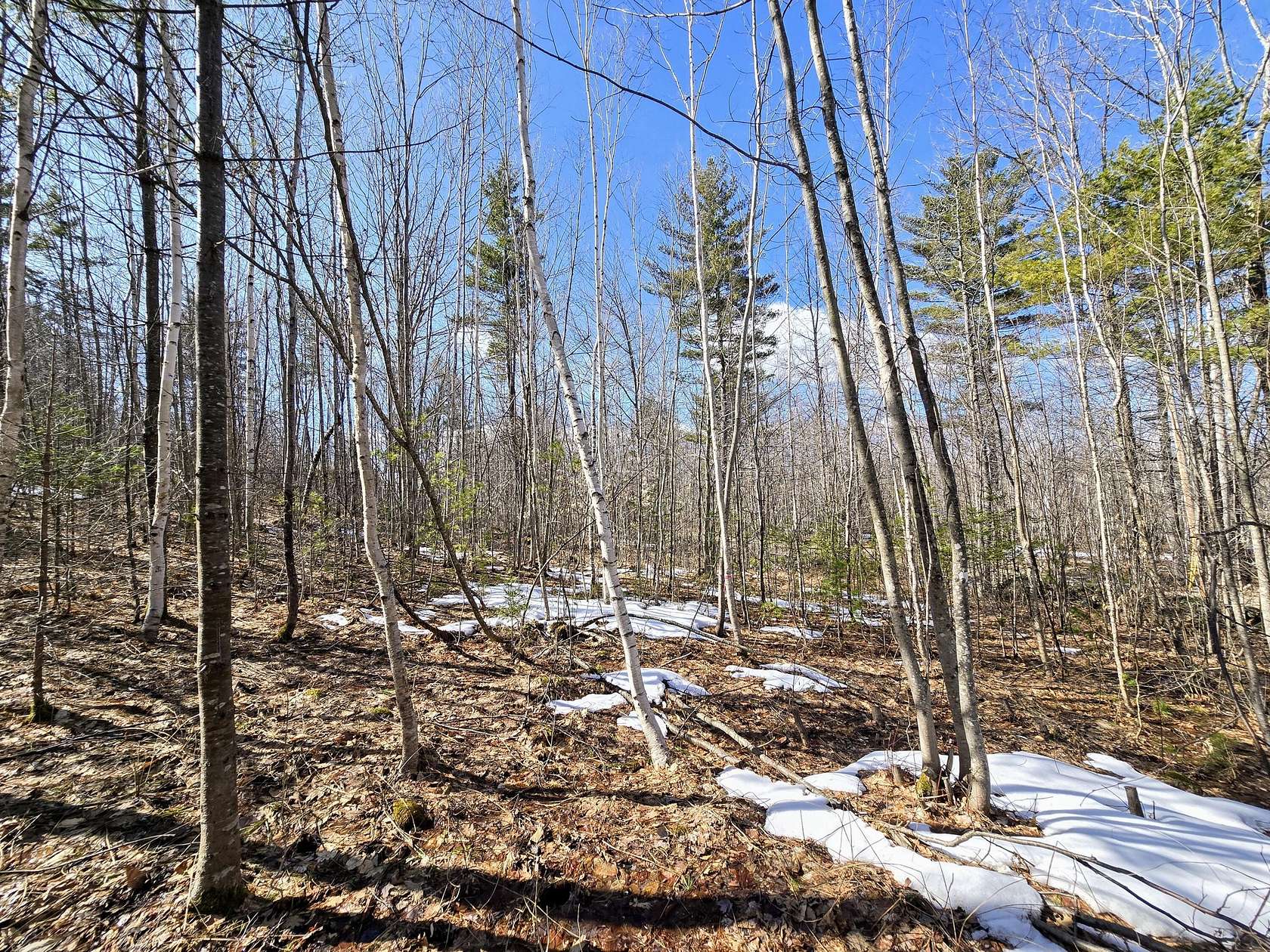 6.3 Acres of Residential Land for Sale in Lovell, Maine