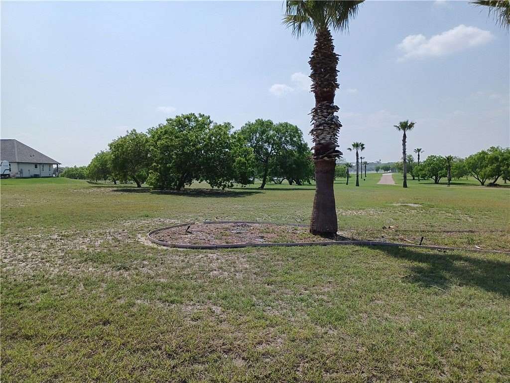 1 Acre of Residential Land for Sale in Sandia, Texas