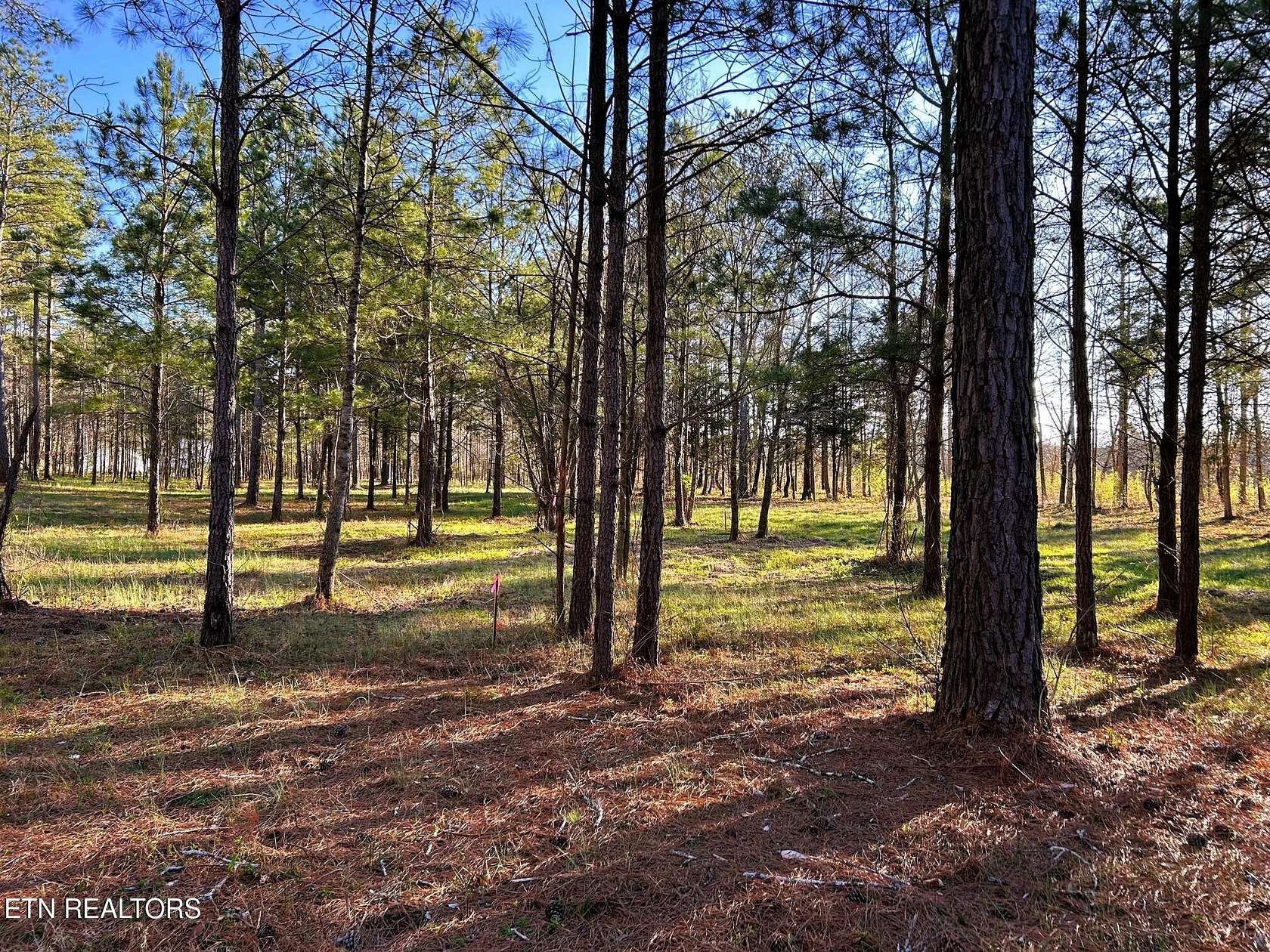0.82 Acres of Land for Sale in Calhoun, Tennessee