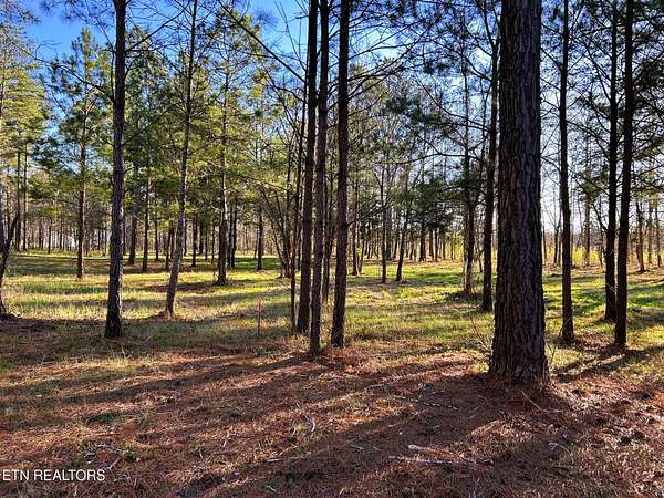 0.82 Acres of Land for Sale in Calhoun, Tennessee