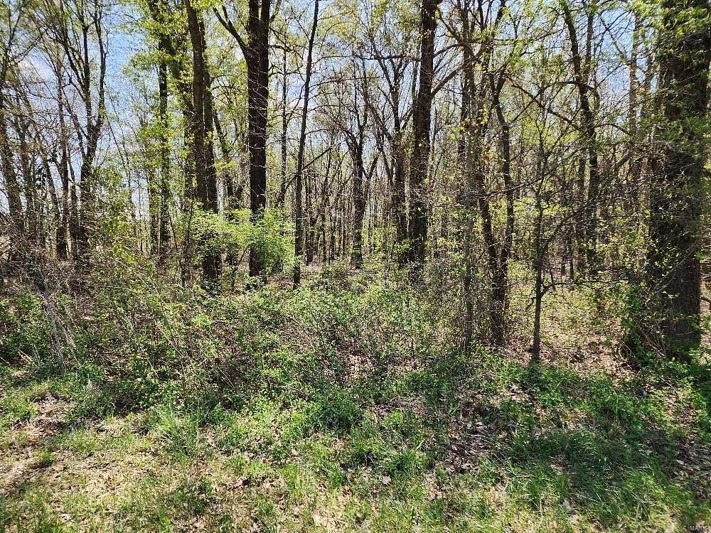 8 Acres of Agricultural Land for Sale in Neelyville, Missouri