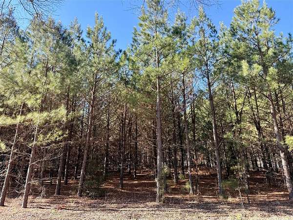 11.6 Acres of Land for Sale in Gladewater, Texas