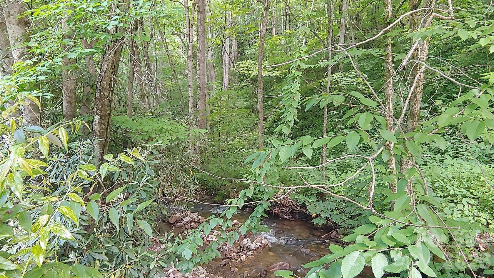 5 Acres of Residential Land for Sale in Waynesville, North Carolina