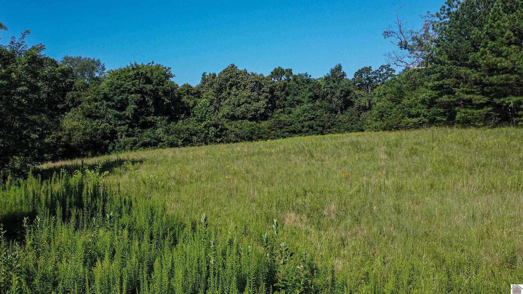 10 Acres of Land for Sale in Aurora, Kentucky