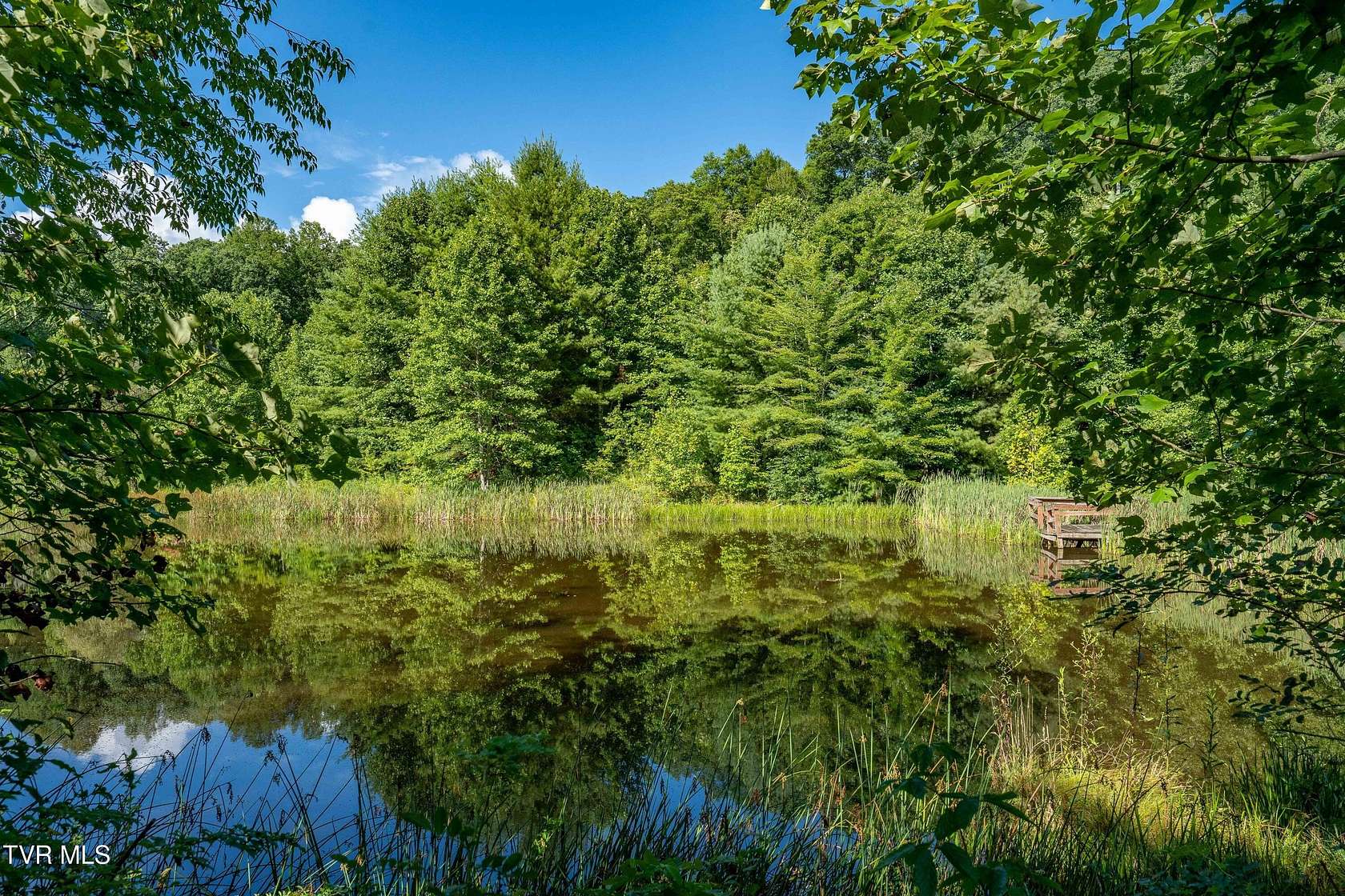 54 Acres of Recreational & Residential Land for Sale in Roan Mountain, Tennessee