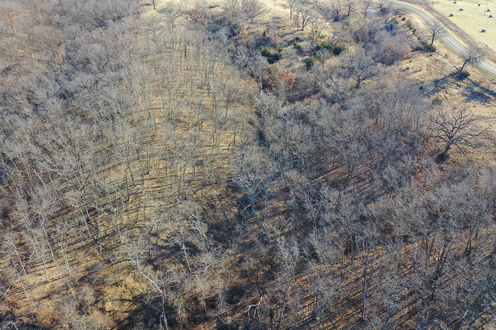 115 Acres of Recreational Land & Farm for Sale in Glenwood, Missouri