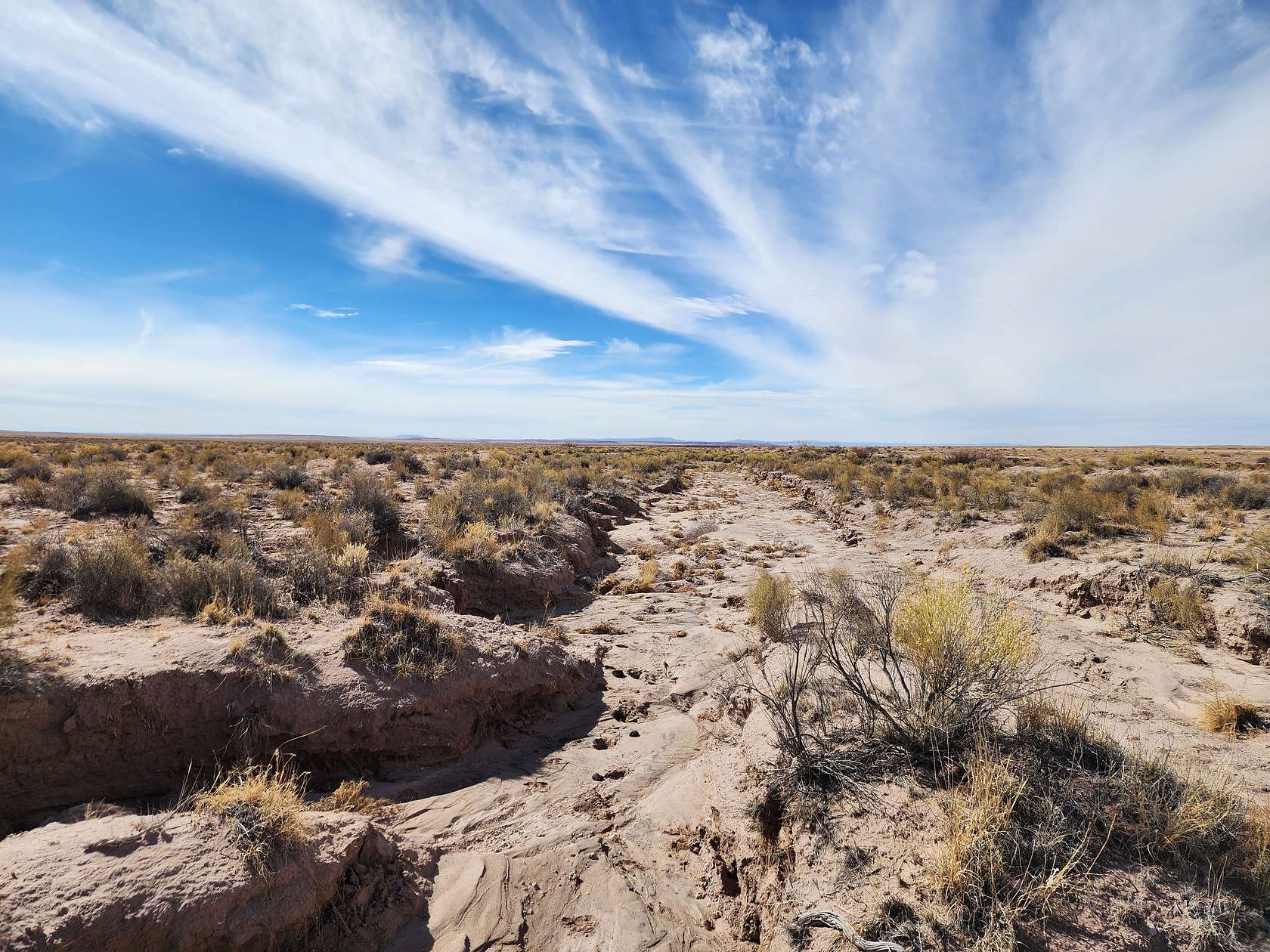 10 Acres of Residential Land for Sale in Joseph City, Arizona