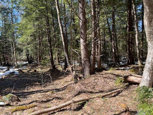 27.8 Acres of Recreational Land & Farm for Sale in St. Johnsville, New York