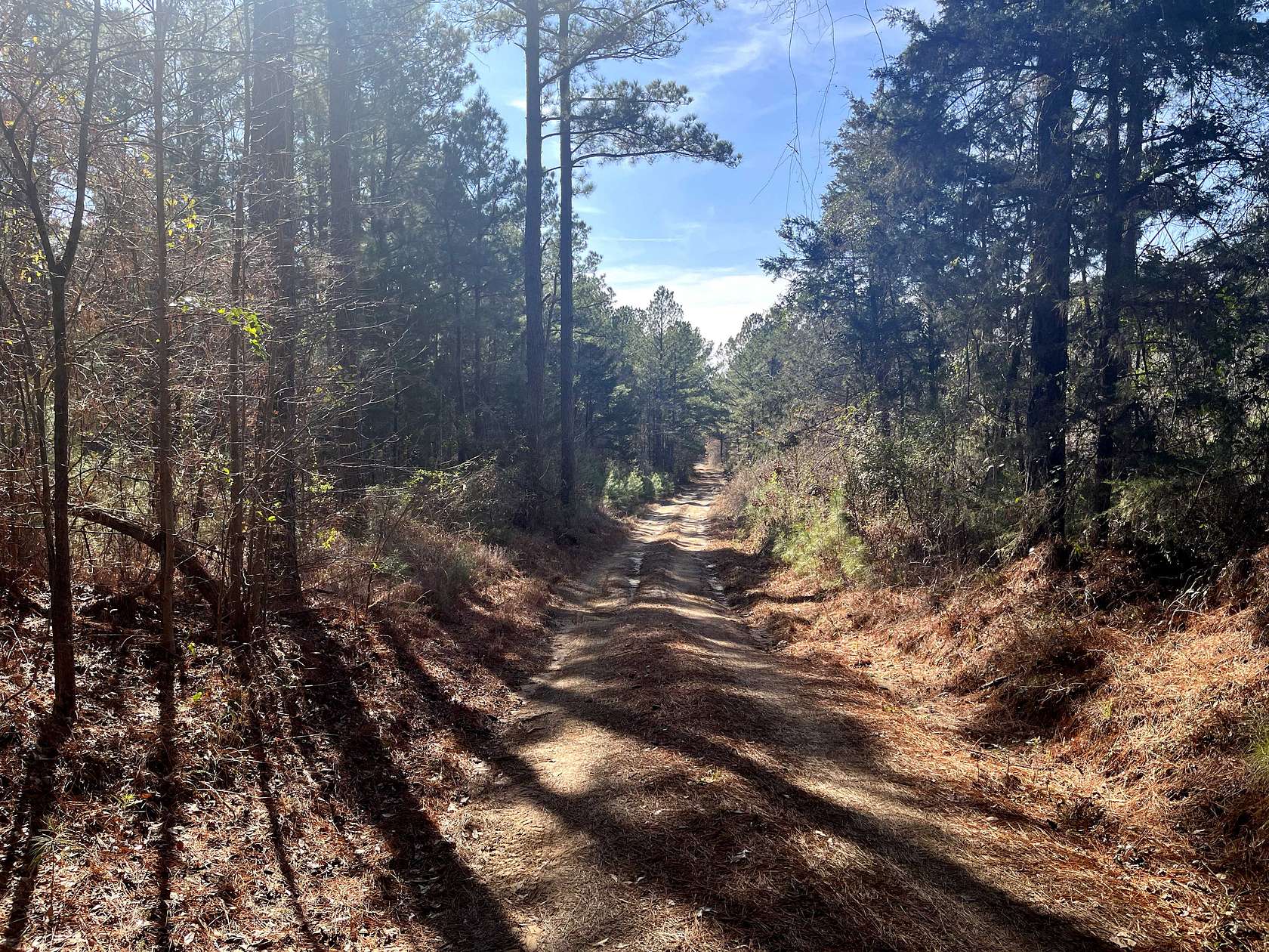 80 Acres of Recreational Land & Farm for Sale in Vivian, Louisiana