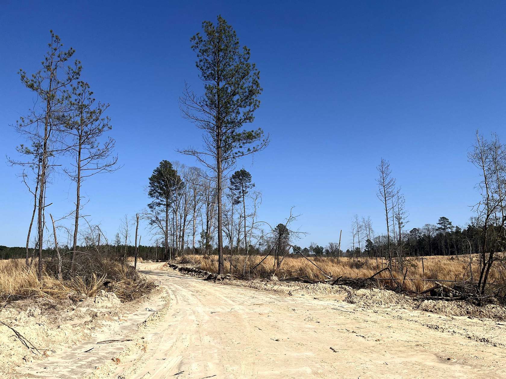 23.5 Acres of Recreational Land & Farm for Sale in Spearsville, Louisiana