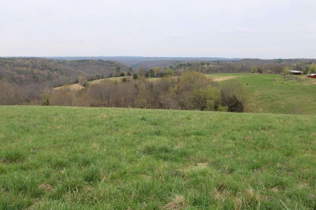 175 Acres of Land with Home for Sale in Marshall, Arkansas