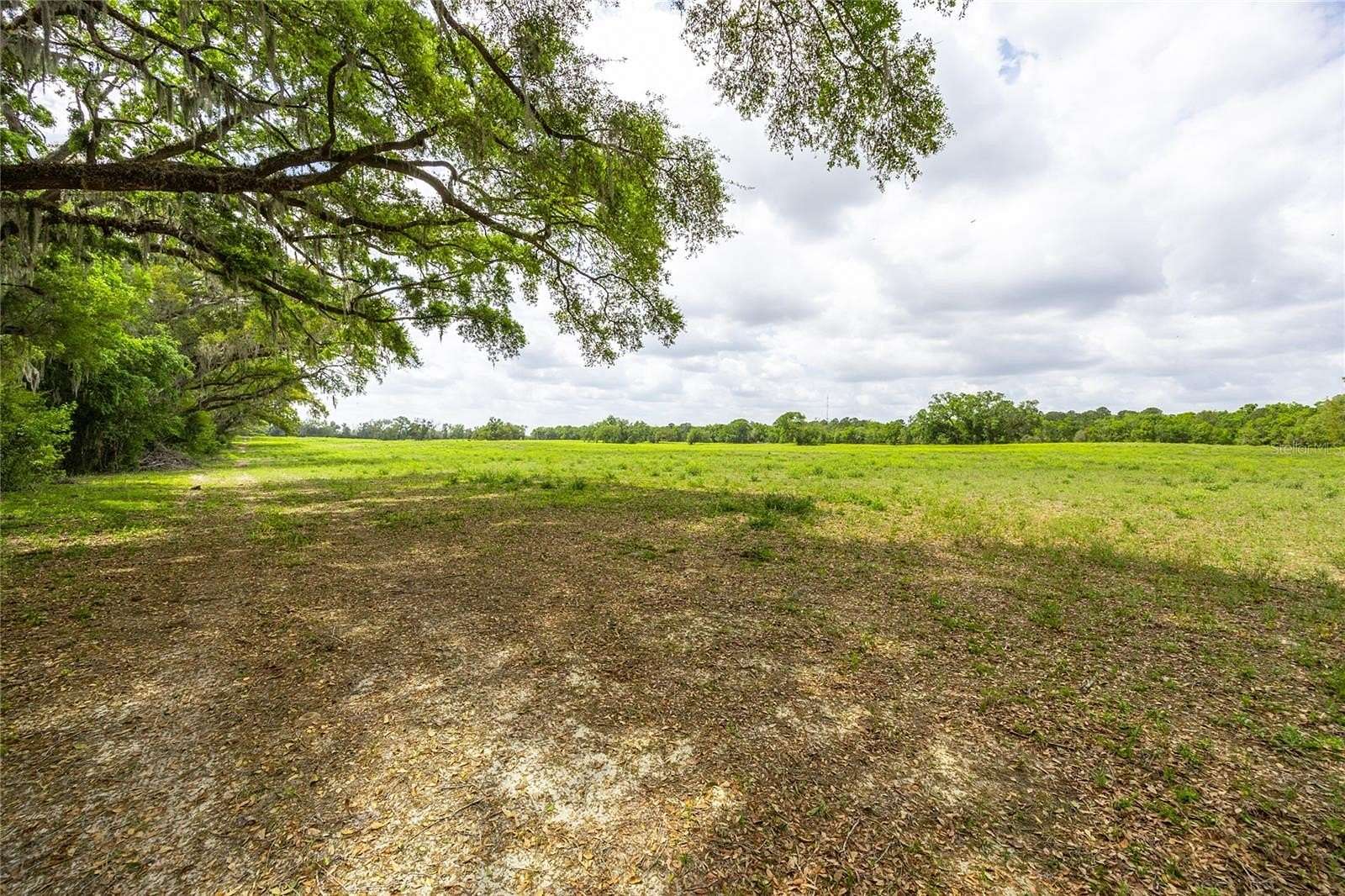 5 Acres of Land for Sale in Newberry, Florida