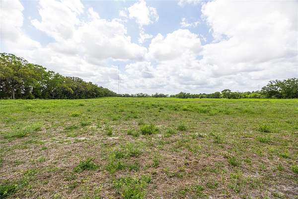 7.46 Acres of Land for Sale in Newberry, Florida