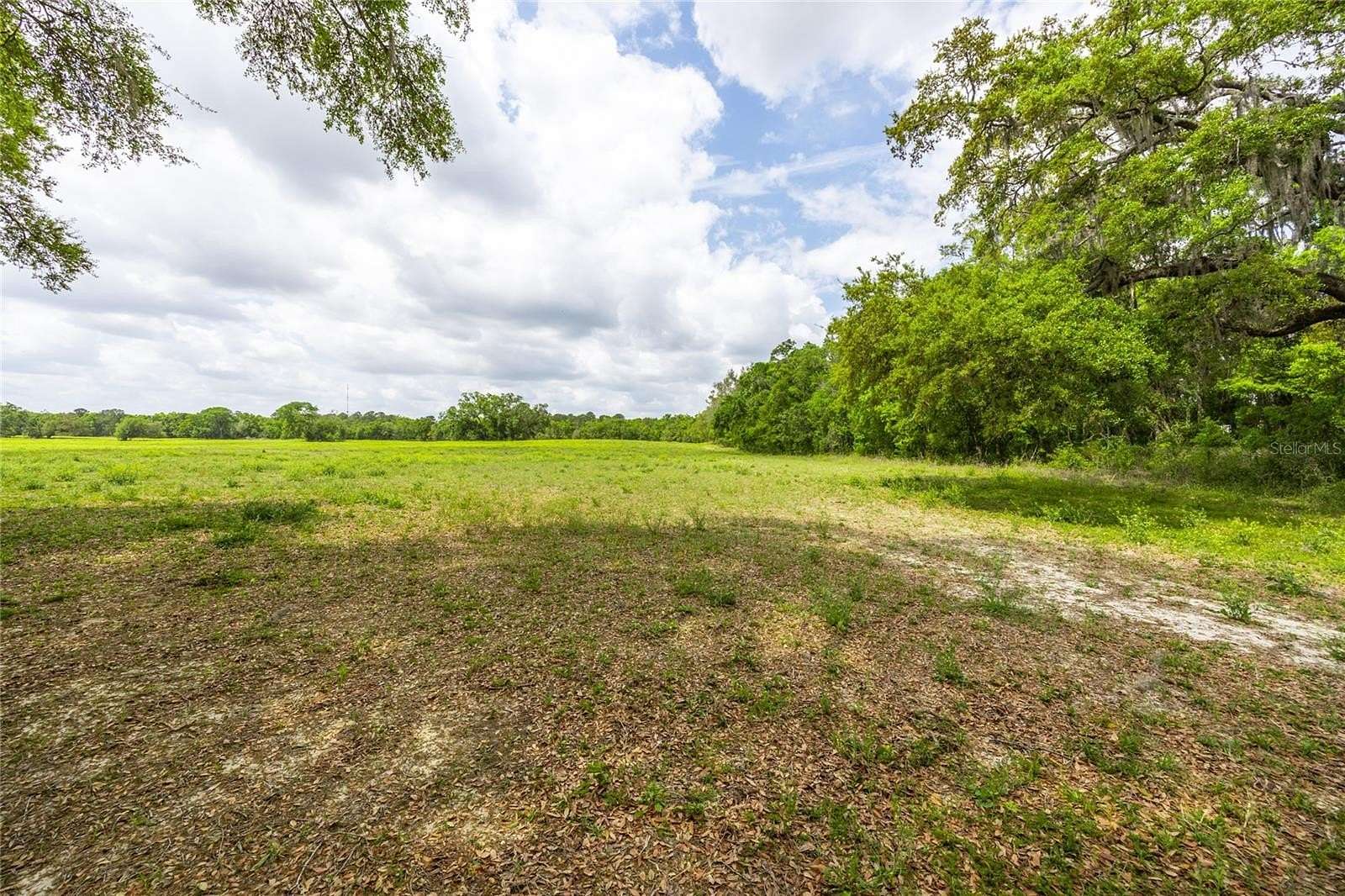 5 Acres of Land for Sale in Newberry, Florida