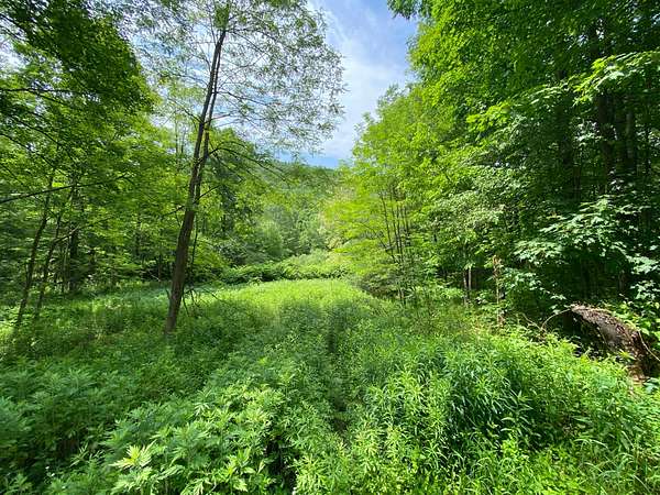 30 Acres of Recreational Land for Sale in Franklin, New York