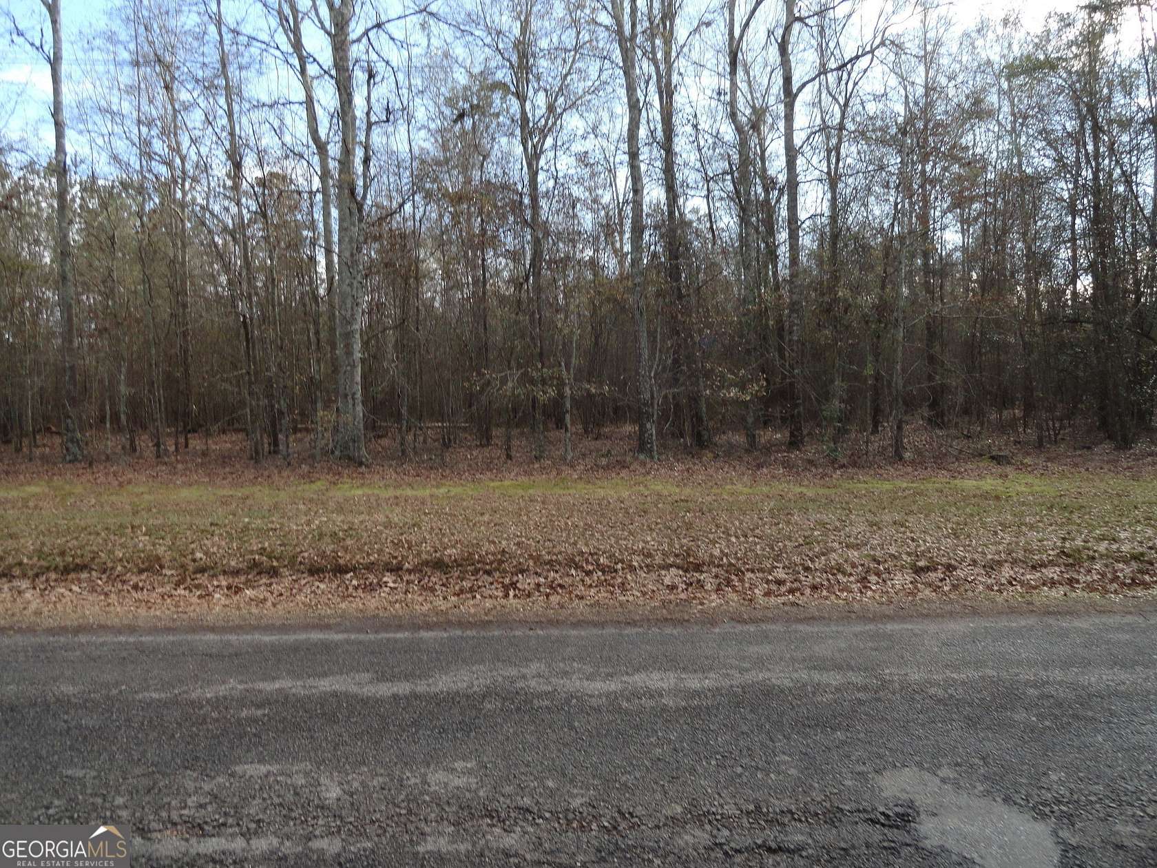 27.1 Acres of Land for Sale in Barnesville, Georgia