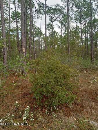 0.37 Acres of Land for Sale in Southport, North Carolina