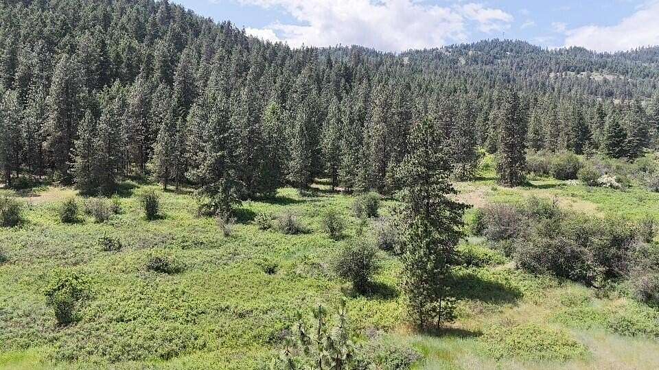 5.3 Acres of Residential Land for Sale in Kettle Falls, Washington