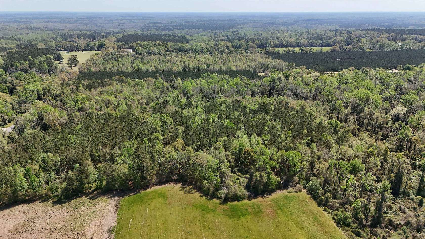31 Acres of Land for Sale in Lamont, Florida