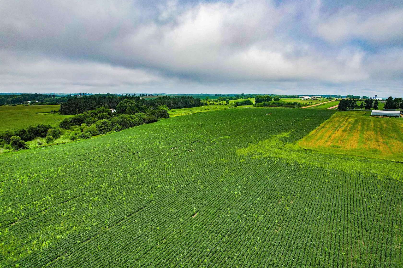 5 Acres of Residential Land for Sale in Marathon City, Wisconsin