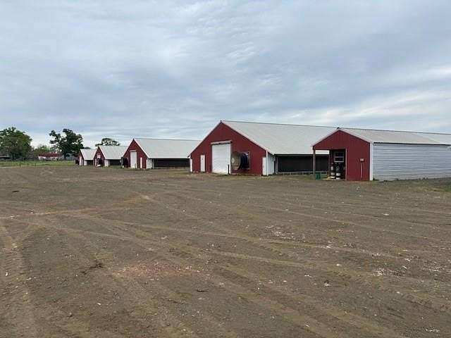 40 Acres of Agricultural Land for Sale in San Augustine, Texas