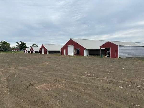 40 Acres of Agricultural & Residential Land for Sale in San Augustine, Texas