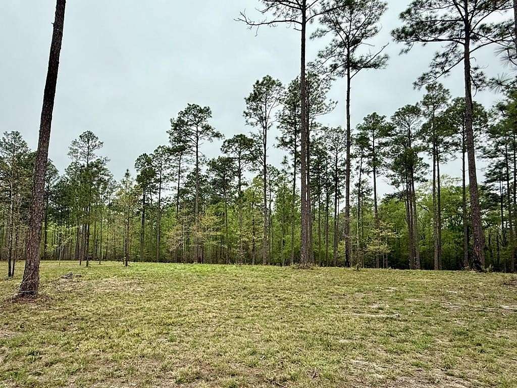 3.38 Acres of Residential Land for Sale in Poplarville, Mississippi