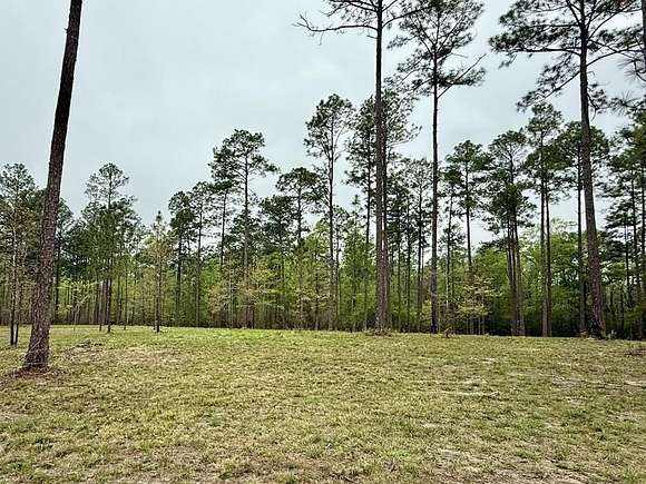 3.38 Acres of Residential Land for Sale in Poplarville, Mississippi