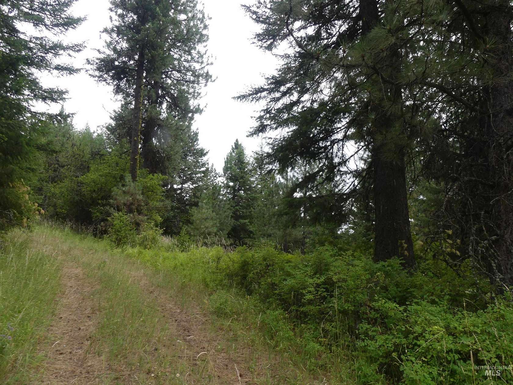 20.4 Acres of Recreational & Residential Land for Sale in Lenore, Idaho