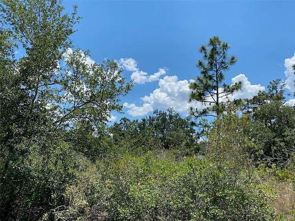 0.55 Acres of Residential Land for Sale in Indian Lake Estates, Florida