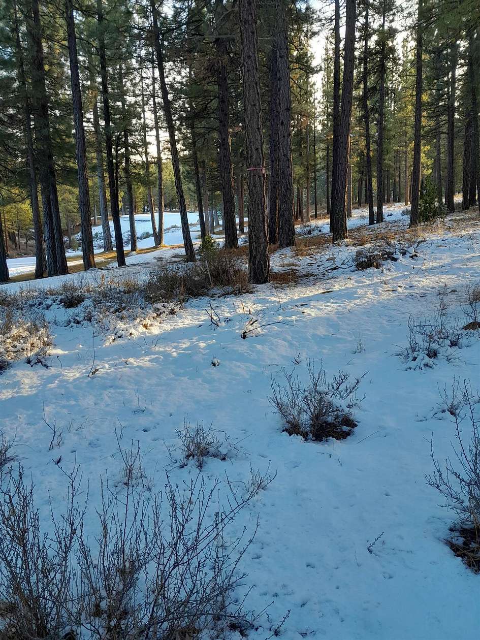 0.44 Acres of Residential Land for Sale in Portola, California