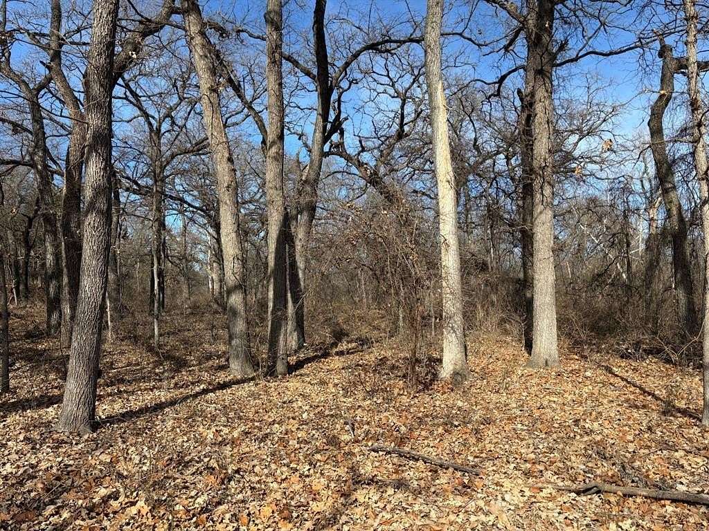 6 Acres of Residential Land for Sale in Weatherford, Texas