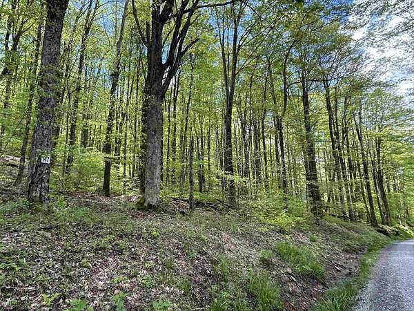 2.37 Acres of Residential Land for Sale in Davis, West Virginia