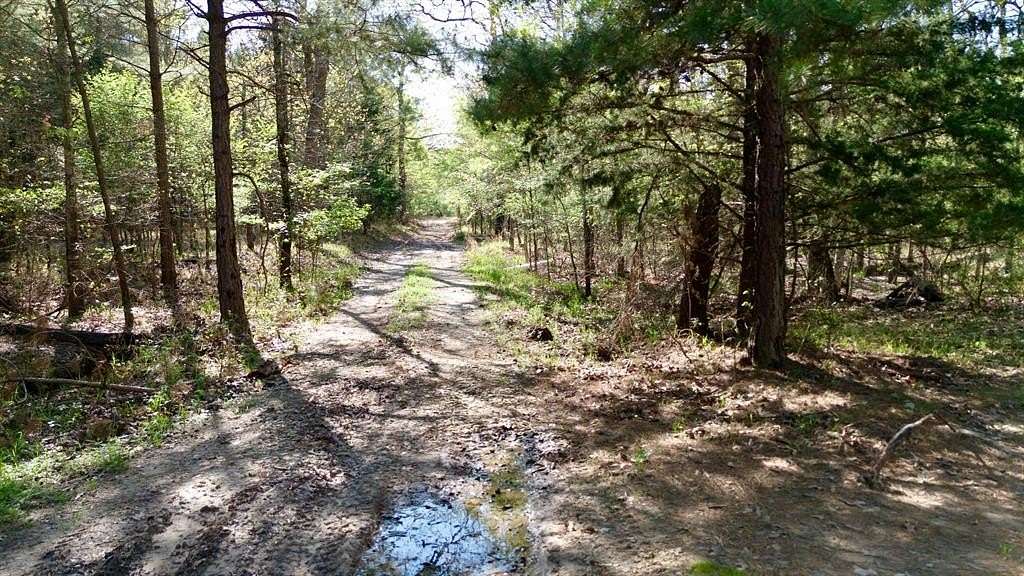 9.74 Acres of Land for Sale in Bogata, Texas