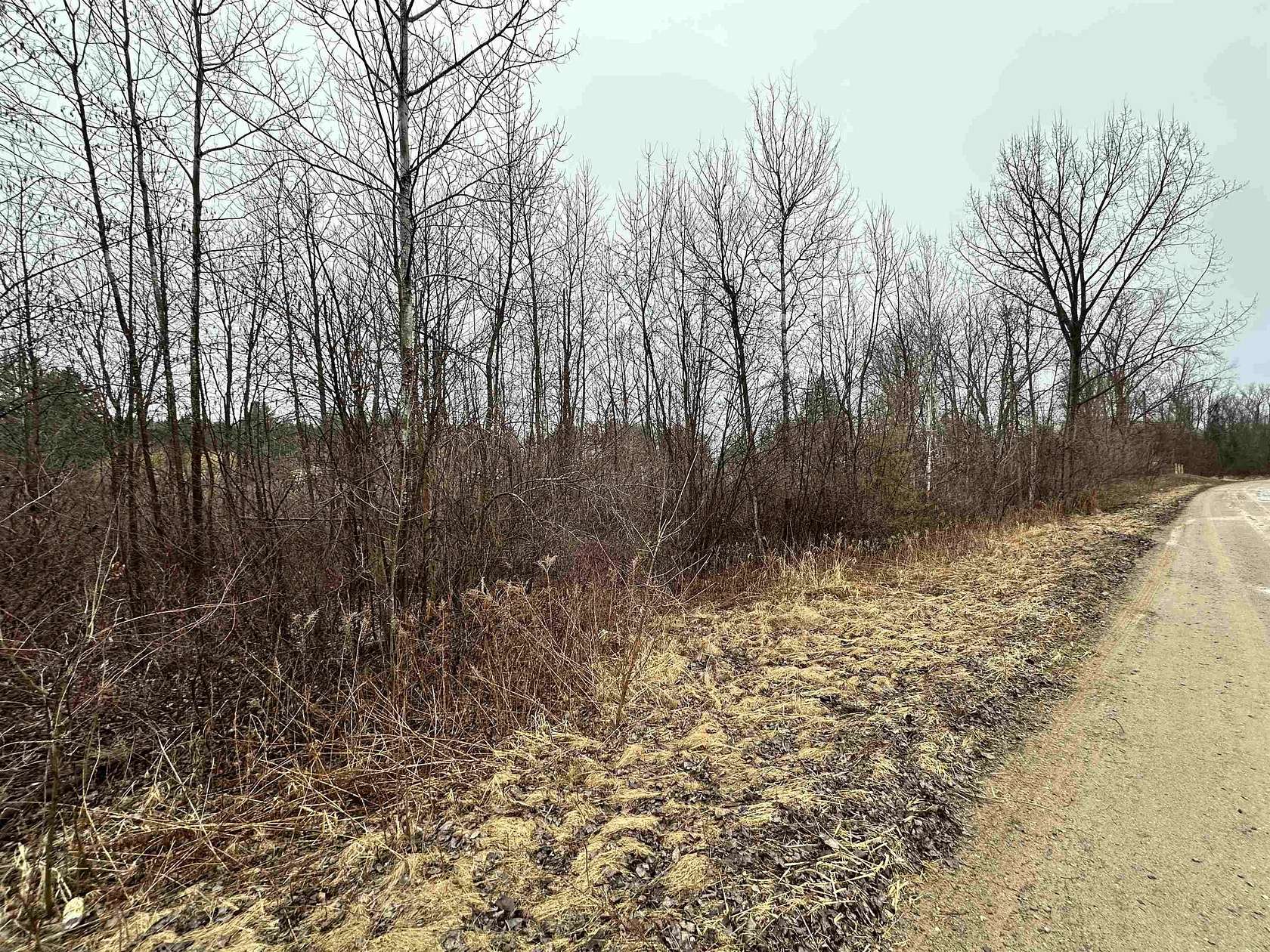 0.41 Acres of Land for Sale in Beaverton, Michigan