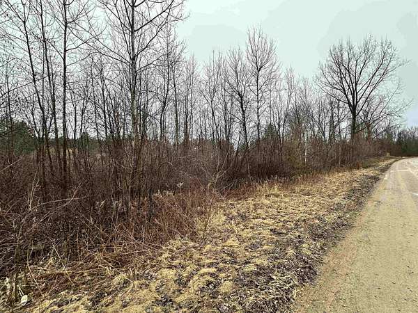 0.41 Acres of Land for Sale in Beaverton, Michigan