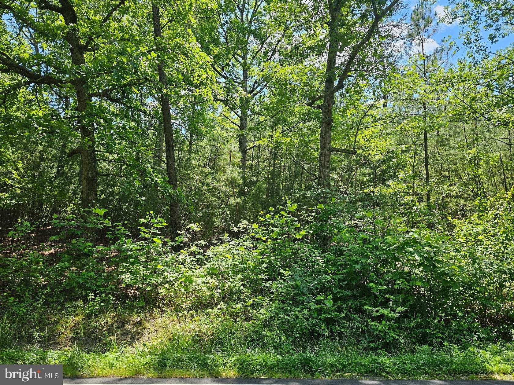 11.3 Acres of Land for Sale in Beaverdam, Virginia