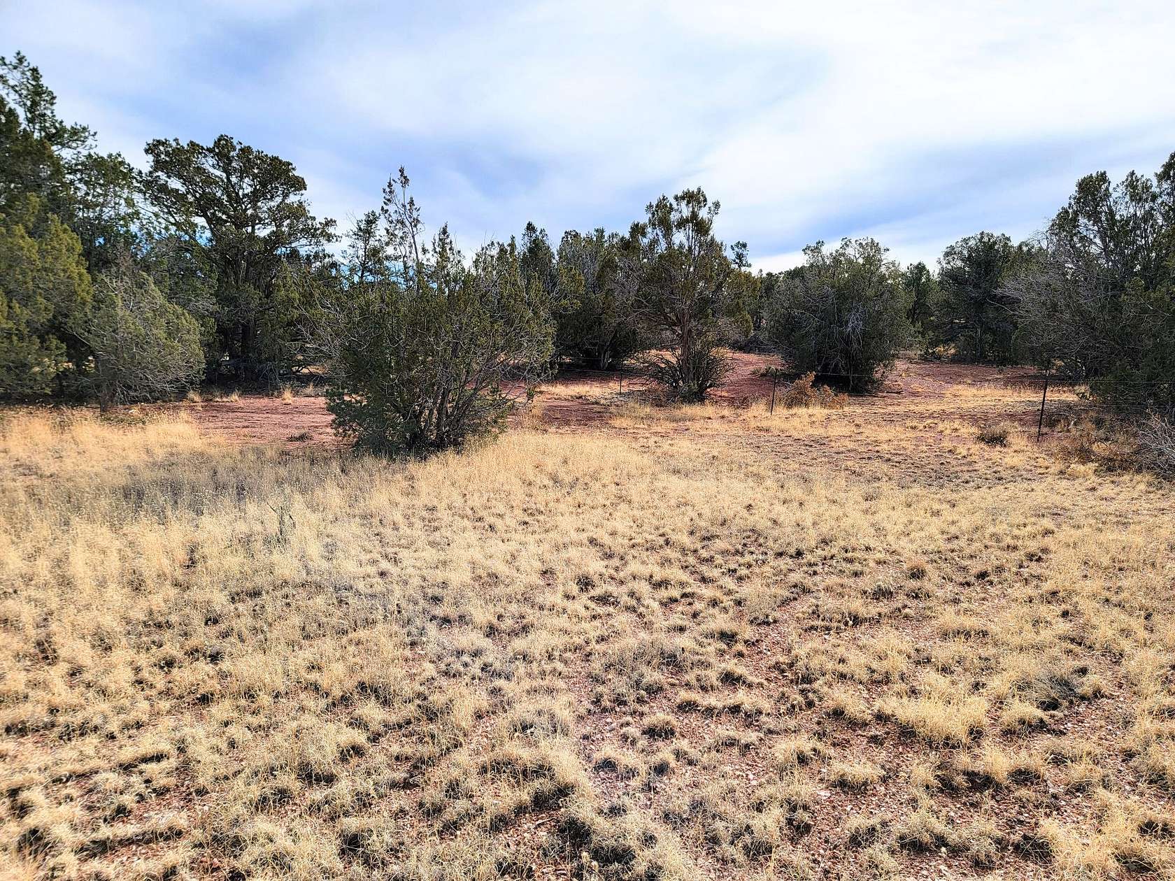 2 Acres of Land for Sale in Seligman, Arizona