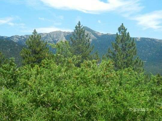 0.71 Acres of Residential Land for Sale in Idyllwild, California