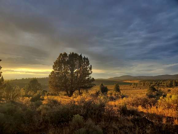 12.3 Acres of Land for Sale in Beatty, Oregon