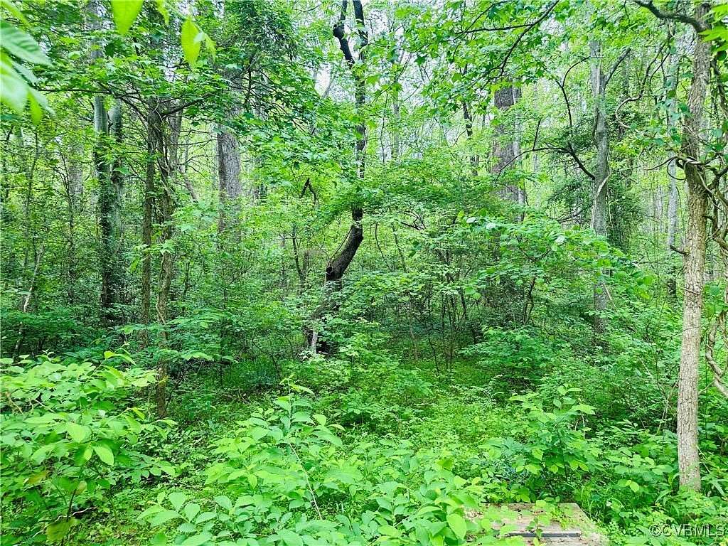 36.5 Acres of Land for Sale in Hanover, Virginia