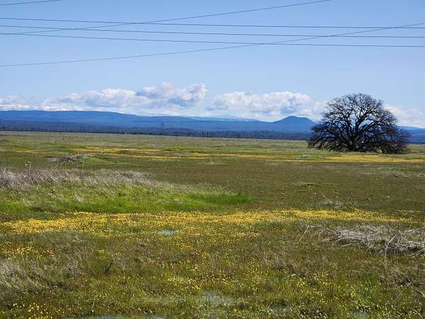 40 Acres of Land for Sale in Millville, California
