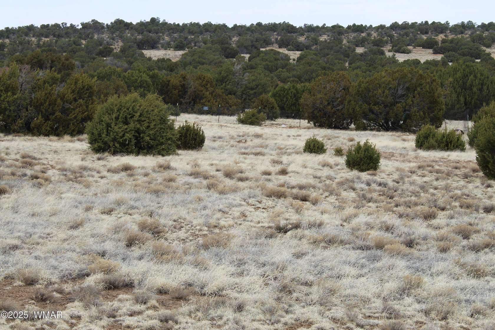 1.14 Acres of Mixed-Use Land for Sale in Concho, Arizona